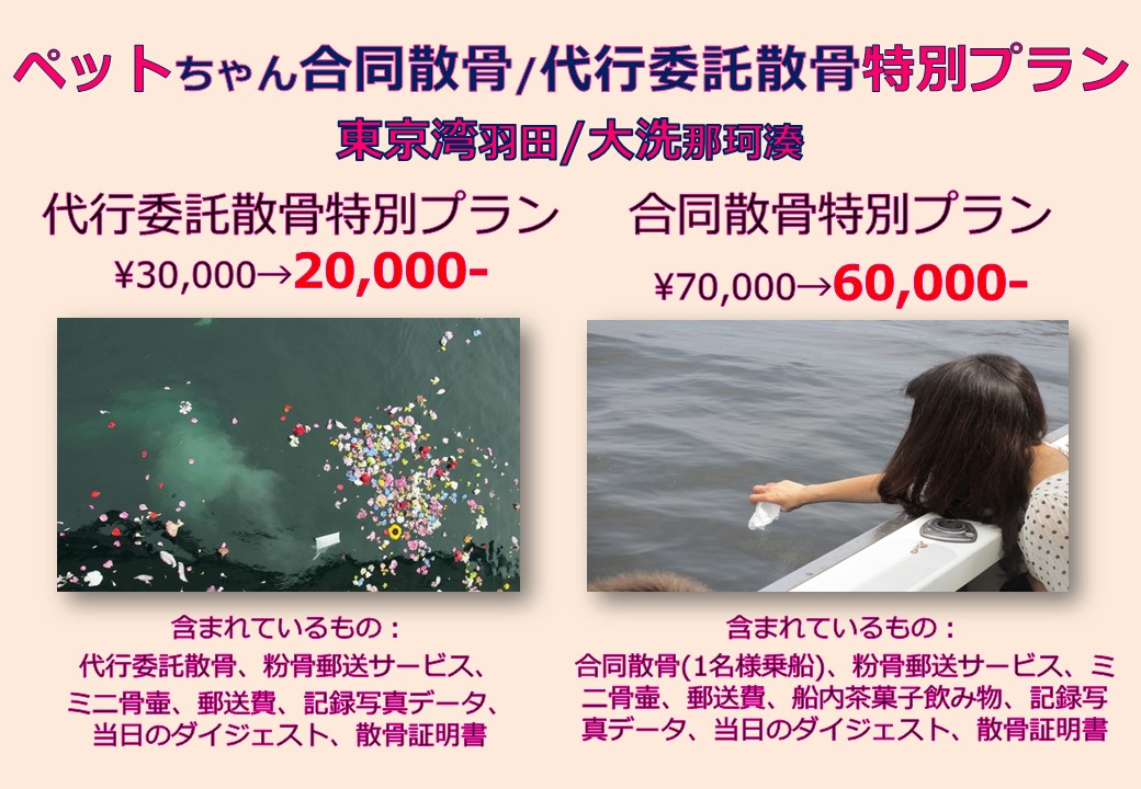 アクセスマップ